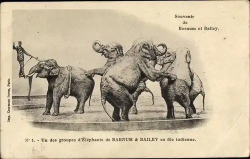 Ak Zirkus Barnum & Bailey, Un des groupes d'Éléphants, Elefanten