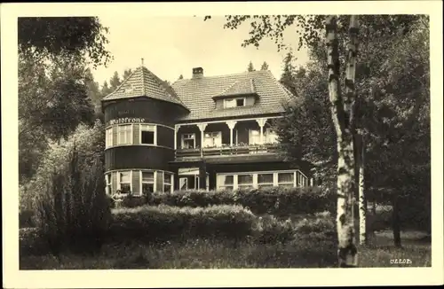 Ak Hasselfelde Oberharz am Brocken, Hotel, Gaststätte Waldkrone