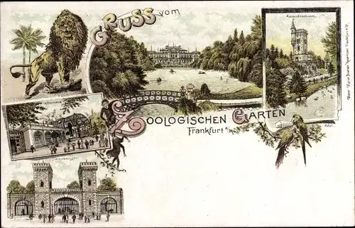 Litho Frankfurt am Main, Zoologischer Garten, Löwe, Affenhaus, Aussichtsturm, Bärenzwinger
