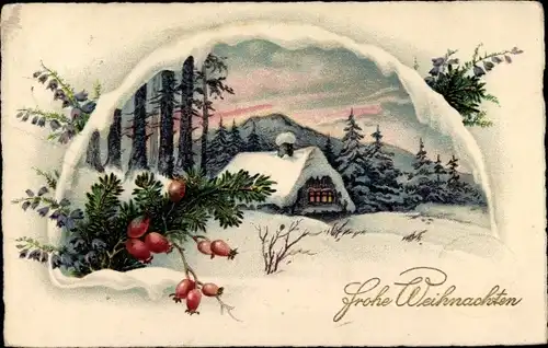 Ak Frohe Weihnachten, Winterlandschaft, Hagebutten
