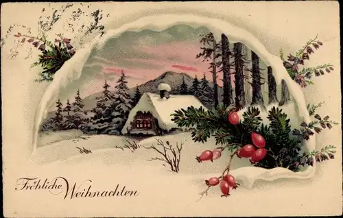 Ak Frohe Weihnachten, Winterlandschaft, Hagebutten