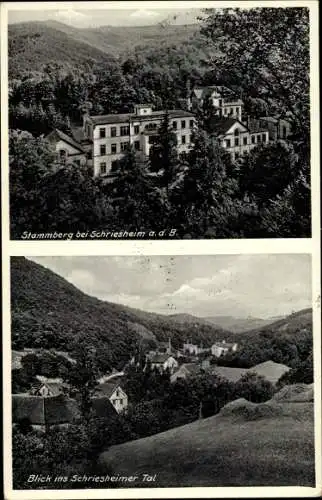 Ak Schriesheim im Rhein Neckar Kreis, Waldpartie am Pflegeheim Stammberg, Blick ins Tal