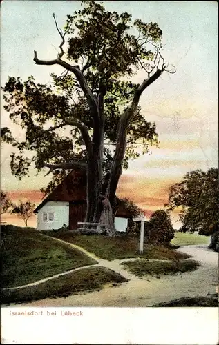 Ak Israelsdorf Sankt Gertrud Hansestadt Lübeck, Baum mit Haus