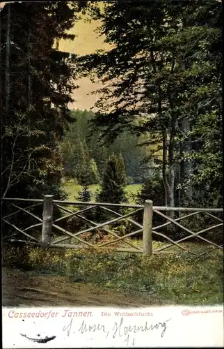 Ak Kasseedorf, Tannen, Blick zur Wolfsschlucht