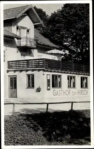 Ak Weißensee Füssen im Ostallgäu, Gasthof zum Hirsch