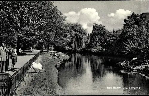 Ak Hamm in Westfalen, Nordring