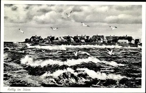 Ak Hallig Hooge in Nordfriesland, See, Sturm, Panorama, Möwen