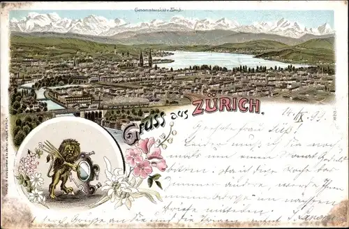 Litho Zürich Stadt Schweiz, Totalansicht der Ortschaft, Wappen