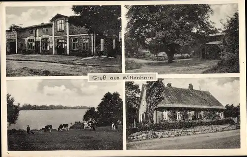 Ak Wittenborn in Schleswig Holstein, Teilansichten, Geschäft, Gebäude