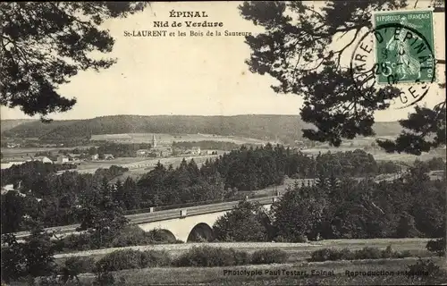 Ak Saint Laurent Épinal Lothringen Vosges, Nid de Verdure, Bois de la Sauteure