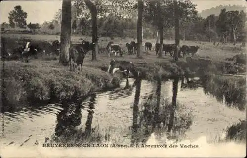 Ak Bruyères sous Laon Aisne, L'Abreuvoir des Vaches