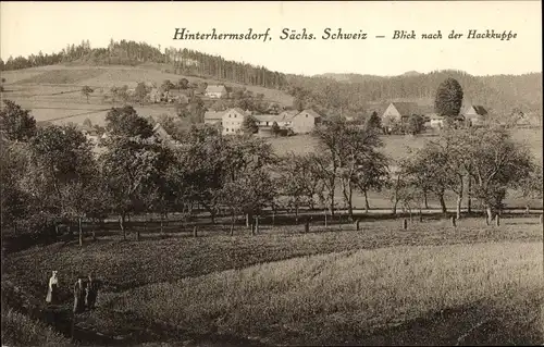 Ak Hinterhermsdorf Sebnitz Sachsen, Blick nach der Hackkuppe