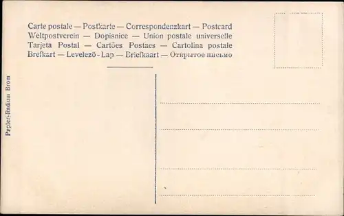 Ak Kronprinz Wilhelm von Preußen, Kronprinzessin Cecilie von Preußen