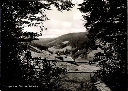 Ak Hagen in Westfalen, Selbecketal, Panorama