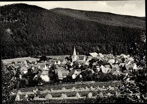 Ak Freienohl Meschede im Sauerland, Gesamtansicht