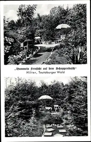 Ak Hilter am Teutoburger Wald, Hummels Fernsicht auf dem Schoppenbusch
