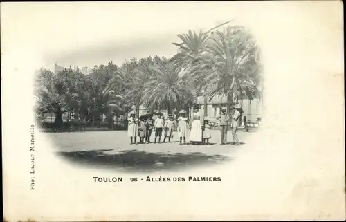 Ak Toulon Var, Allées des Palmiers