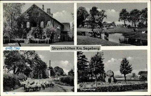 Ak Struvenhütten in Schleswig Holstein, Schule, Kriegerehrung, Kühe, Schafsherde