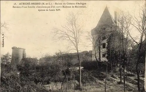 Ak Aubigné Briand Maine et Loire, Ruine Chateau d´Aubigné