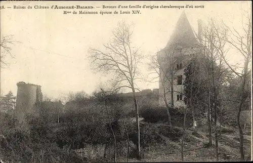 Ak Aubigné Briand Maine et Loire, Ruines du Chateau