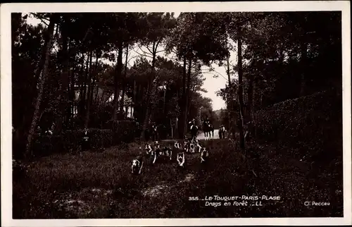 Ak Le Touquet Paris Plage Pas de Calais, Drags en Foret