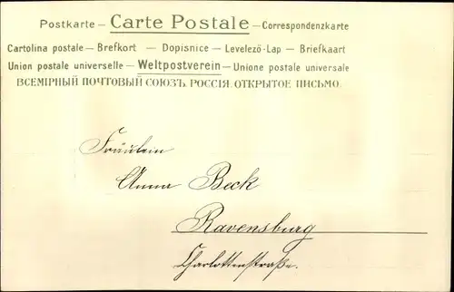 Präge Passepartout Ak Vögel auf einem Ast