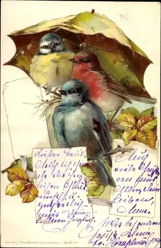 Litho Drei Vögel, Meise, Rotkehlchen, Regenschirm