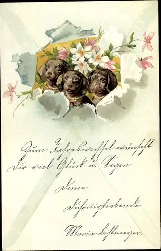 Litho Drei Dackel, Hundeportrait, Blüten