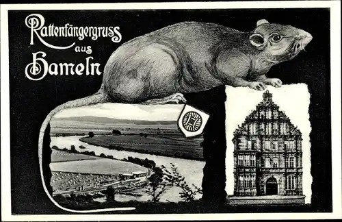 Ak Hameln an der Weser Niedersachsen, Rattenfängerhaus, Panorama