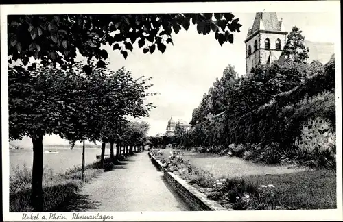 Ak Unkel am Rhein, Rheinanlagen