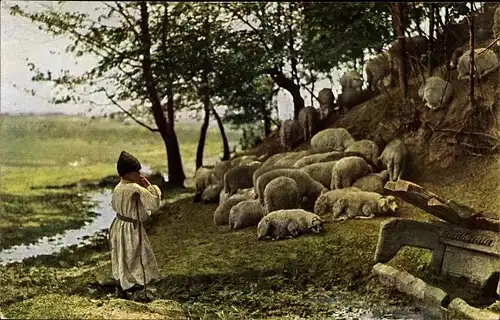 Ak Balkan, Schafhirte mit seinen Schafen