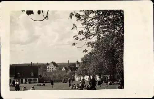 Foto Ak Giengen an der Brenz, Teilansicht, Wiesenpartie