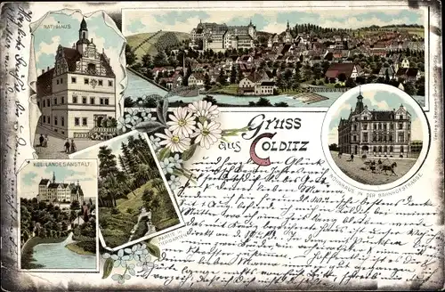 Litho Colditz in Sachsen, Rathaus, Kgl. Landesanstalt, Tiergarten, Bahnhofstraße, Panorama