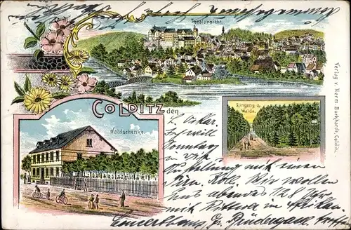 Litho Colditz in Sachsen, Waldschenke, Eingang zum Walde, Gesamtansicht