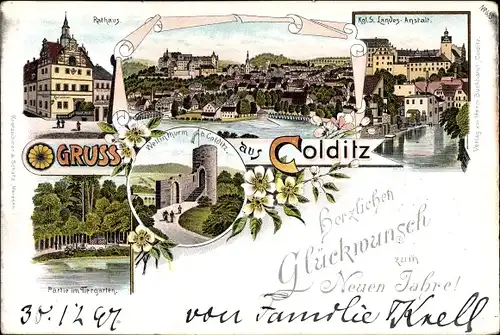 Litho Colditz in Sachsen, Rathaus, Landesanstalt, Tiergarten, Wettinturm, Gesamtansicht