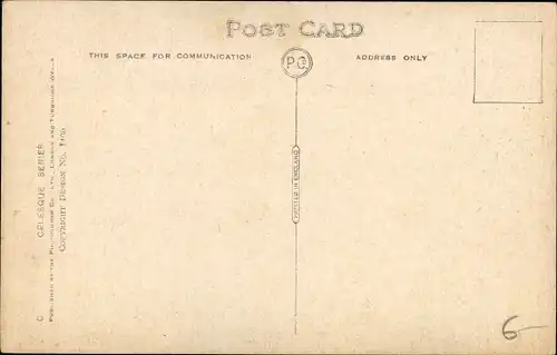 Künstler Ak Stokes, G. Vernon, Scottish Terrier, Hundeportrait