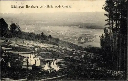 Ak Dresden Schönfeld Weißig Borsberg, Blick nach Graupa, Baumstämme
