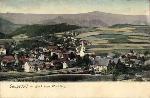 Ak Saupsdorf Sebnitz Sachsen, Panorama vom Wachberg