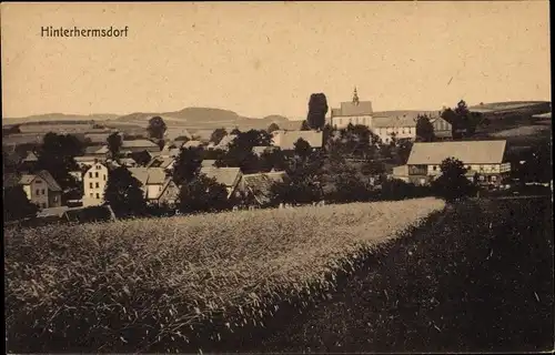 Ak Hinterhermsdorf Sebnitz Sachsen, Blick auf den Ort