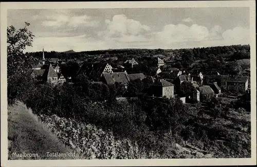 Ak Maulbronn im Schwarzwald, Teilansicht, Hotel Café Kloster Post