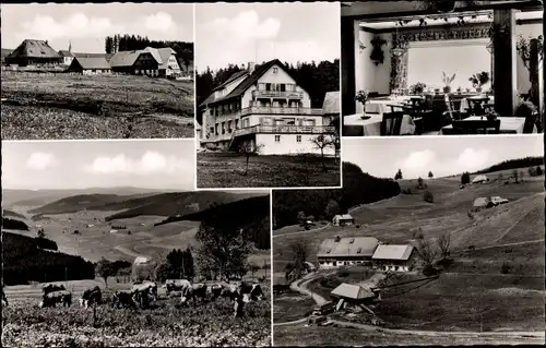 Ak Schwärzenbach Titisee Neustadt im Breisgau Hochschwarzwald, Pension Haus Feldbergblick