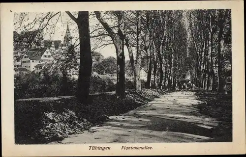 Ak Tübingen am Neckar Baden Württemberg, Blick in die Plantanenallee