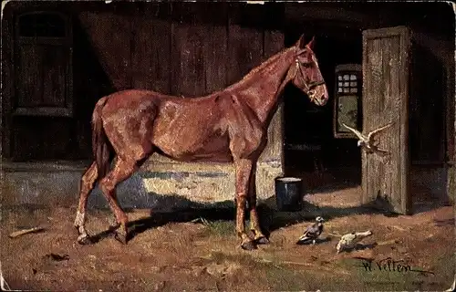 Künstler Ak Velten, W., Braunes Pferd steht vor dem Stall, Tauben