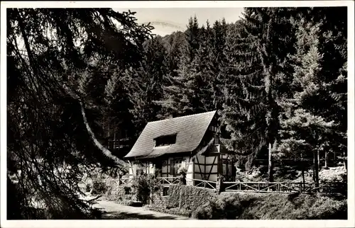 Ak Lambrecht in der Pfalz, Schützenhaus