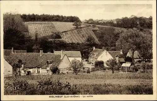 Ak Molineuf Loir et Cher, Vallée