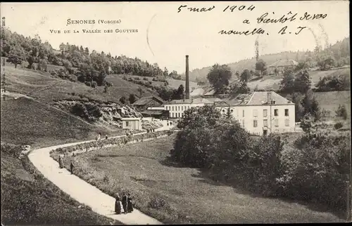Ak Senones Sens Lothringen Vosges, Vue de la Vallee des Gouttes