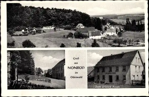 Ak Nonrod Fischbachtal im Odenwald Hessen, Gesamtansicht, Gasthaus Zum grünen Baum