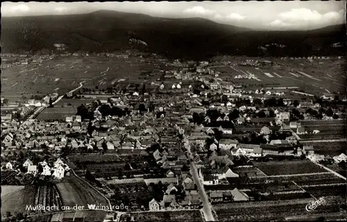 Ak Mußbach Neustadt an der Weinstraße, Fliegeraufnahme