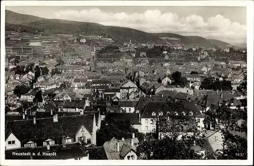 Ak Neustadt an der Weinstraße, Gesamtansicht