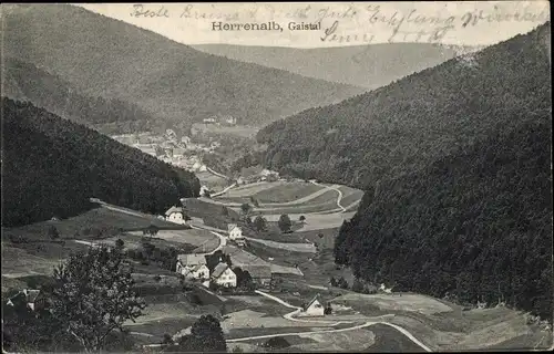 Ak Bad Herrenalb im Schwarzwald, Blick ins Gaistal